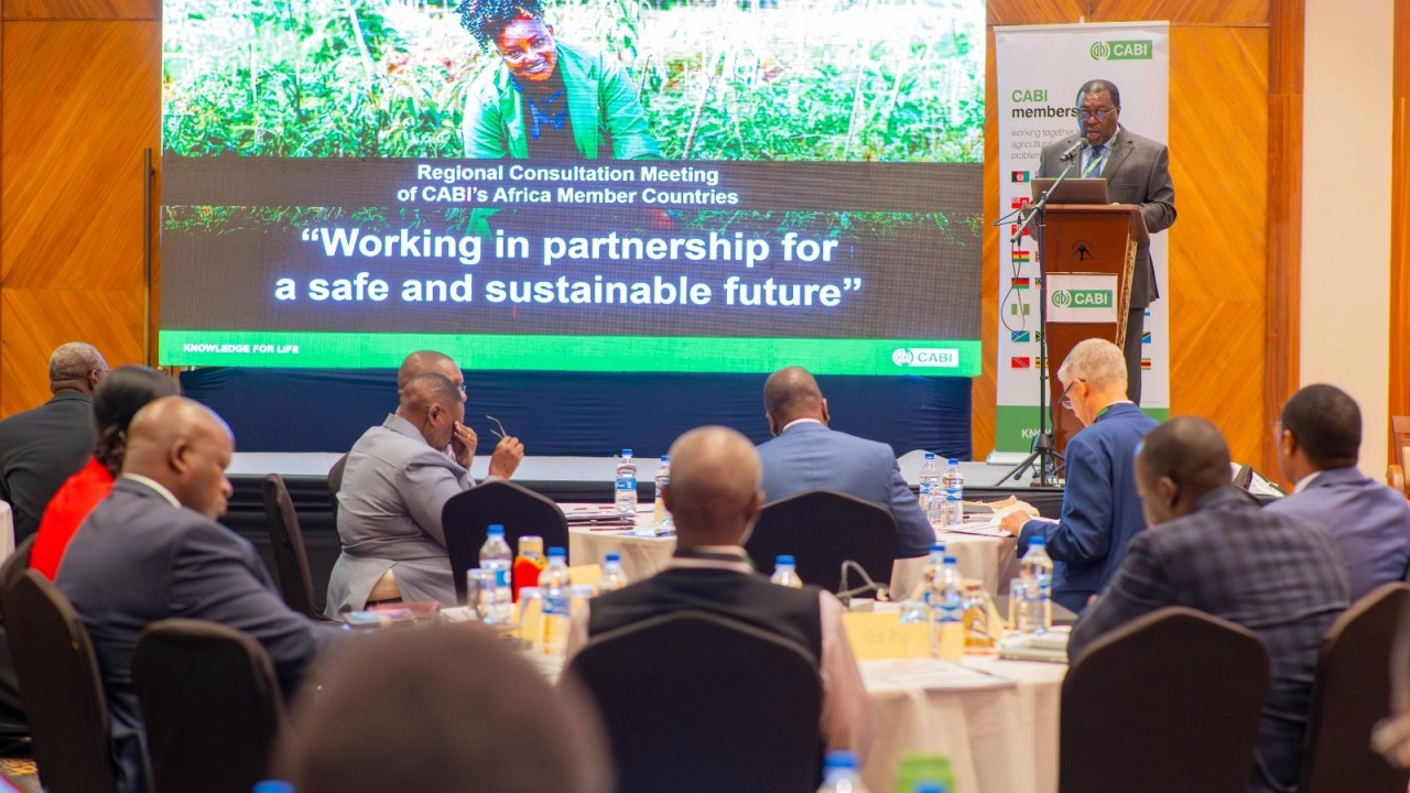 Business consultation and advisory session